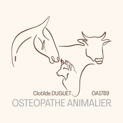 Ostéopathe animalier Toulouse