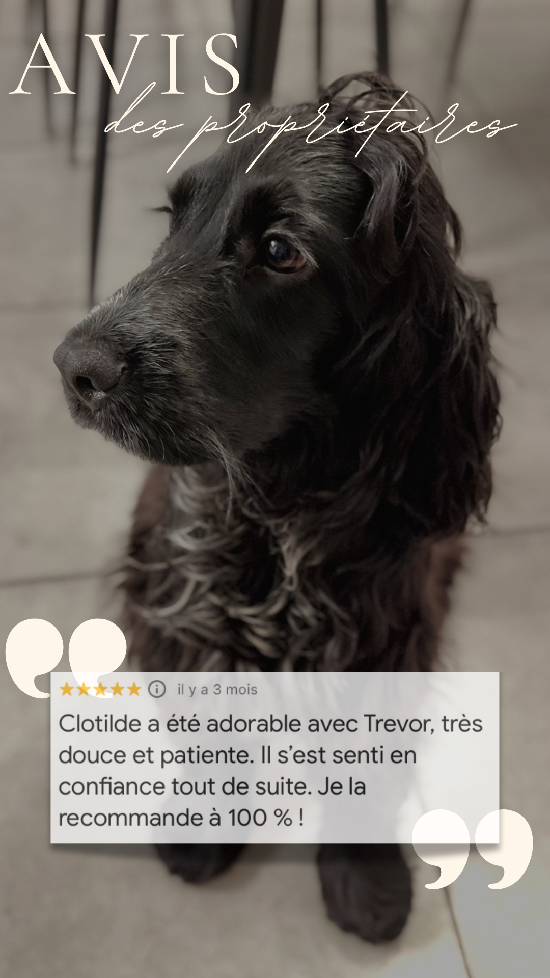 dernières dispos cette semaine.zip - 3